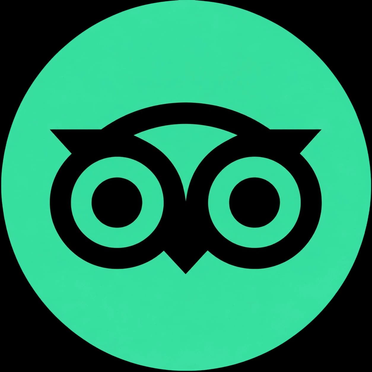 Tripadvisor Reviews