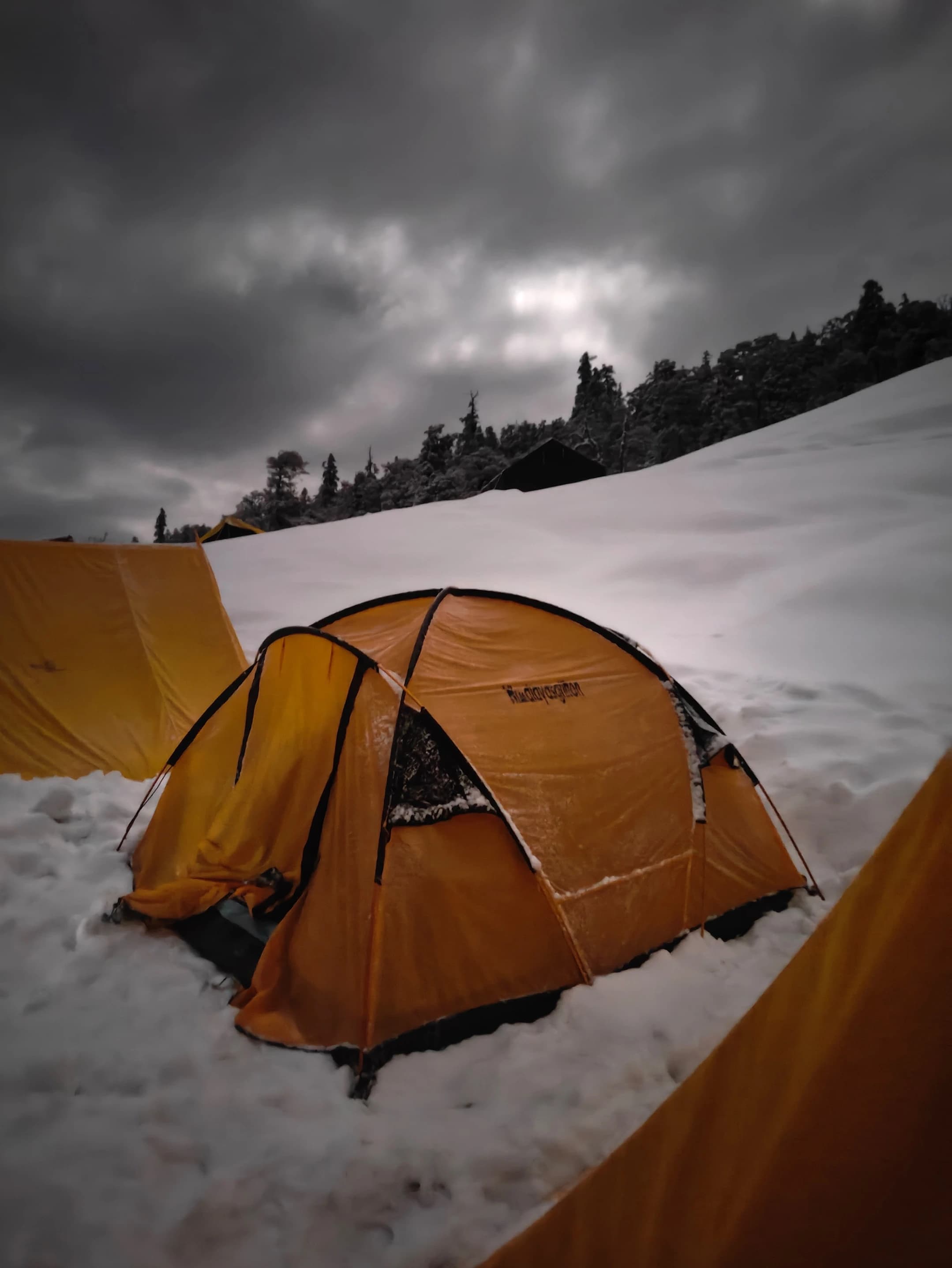 Kedarkantha Trek