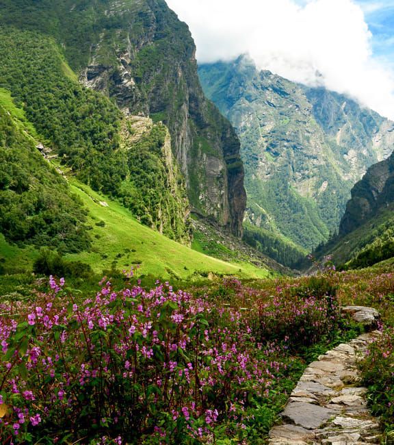 Valley of Flowers Trek, Uttarakhand